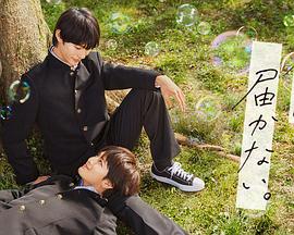 关岭县网站优化服务